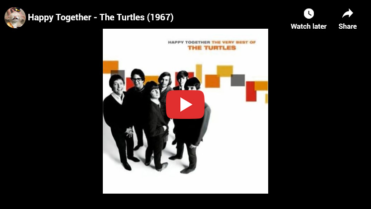 21. The Turtles - Happy Together - Top Songs of the 1960s