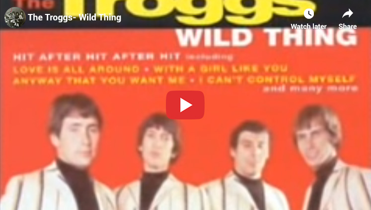 38. The Troggs - Wild Thing - Top 1960s Songs
